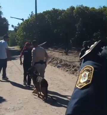 Buscan a la mujer desaparecida con un perro especializado en rastrillajes