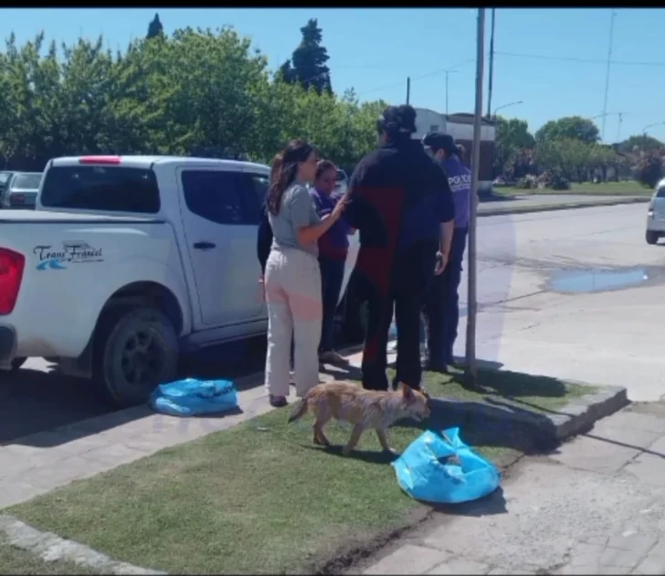 Trasladaron los restos de Débora a Barker