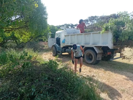 WhatsApp-Image-2025-11-26-at-9.20.44-PM-728x546