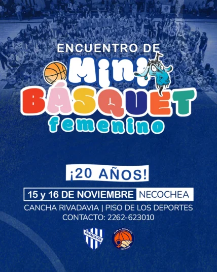 afiche-Minibaasquet-728x910