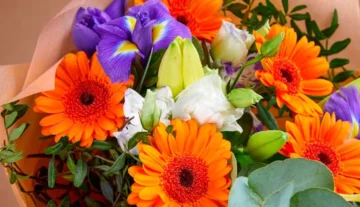 Vuelve “Necochea Florece”: Venta de Plantines a Beneficio del Hospital Municipal