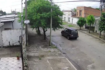 Atropellaron y mataron a una perra en Avenida 42