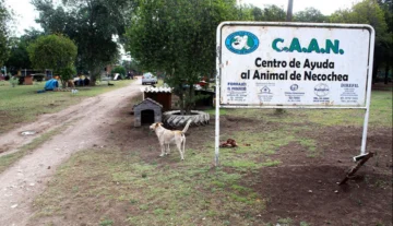 El CAAN aclara que nada tiene que ver con el cobro de estacionamiento en la playa