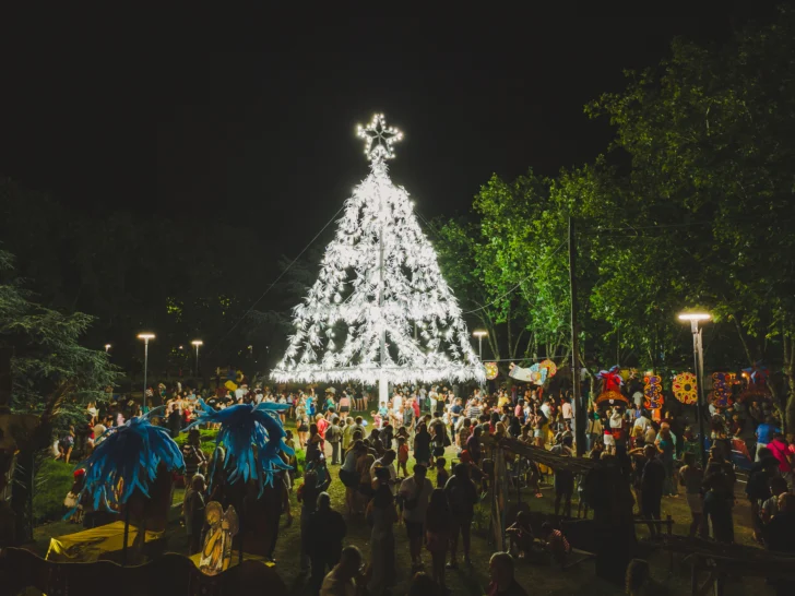 Ante mucho público encendieron el arbolito de Navidad en la Plaza