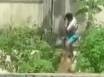 Video: un joven muere en Brasil atacado por una leona