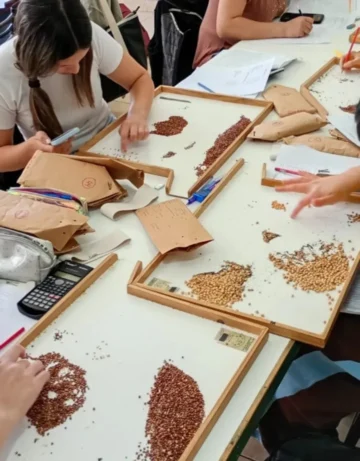 Screenshot_20251207_1455142