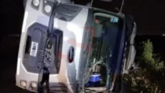 ​Vuelco de un camión en la Ruta 227: el chofer fue hospitalizado