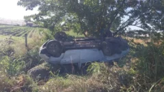 Accidente fatal: le pasaron un mate mientras manejaba, volcó y murió