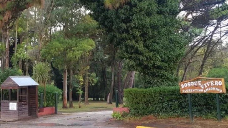 Desaparecida en Miramar: los datos de la mujer que es intensamente buscada