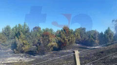 Bomberos y vecinos combaten un incendio en Arenas Verdes