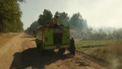 Se incendió un monte durante los festejos de Navidad pero fue sofocado con éxito