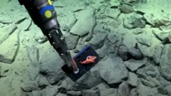 Hallazgo insólito: durante el streaming del CONICET, encontraron un VHS el fondo del mar