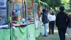 Cuenta DNI llega al Festival Infantil para beneficiar a emprendedores y aliviar el bolsillo