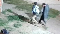 Robo en una pollería de la Avenida 98: se llevaron desde mercadería hasta garrafas