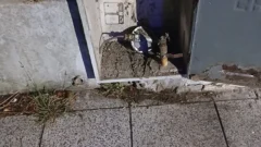 Detuvieron a un “trapito” tras robar un caño de cobre en plena vía pública