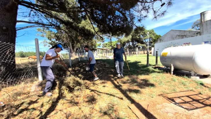 WhatsApp-Image-2026-03-02-at-21.38.12-728x410 WhatsApp-Image-2026-03-02-at-21.38.12-728x410