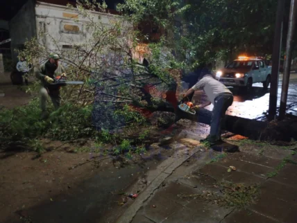 WhatsApp-Image-2026-03-16-at-21.51.30-728x548