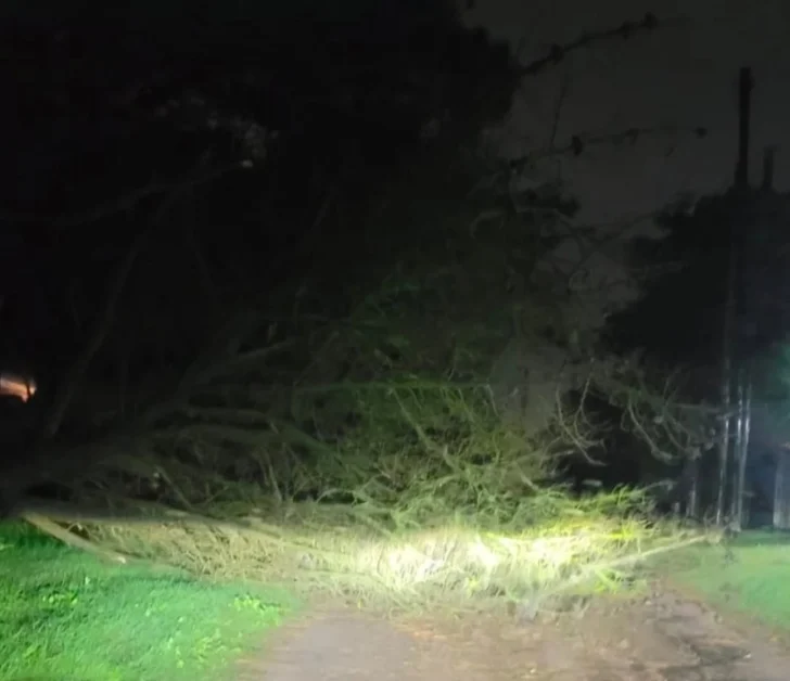 675502268_18166264039419926_5550484293455738674_n-728x628