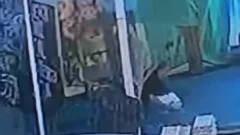 “El roba huevos”: Quedó registrado por las cámaras tras hurtar en una verdulería