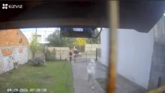 Violento intento de robo: emboscaron a una mujer al llegar a su casa