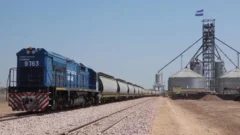 Crisis ferroviaria: trenes de carga a 15 km/h y un promedio de tres descarrilamientos por día