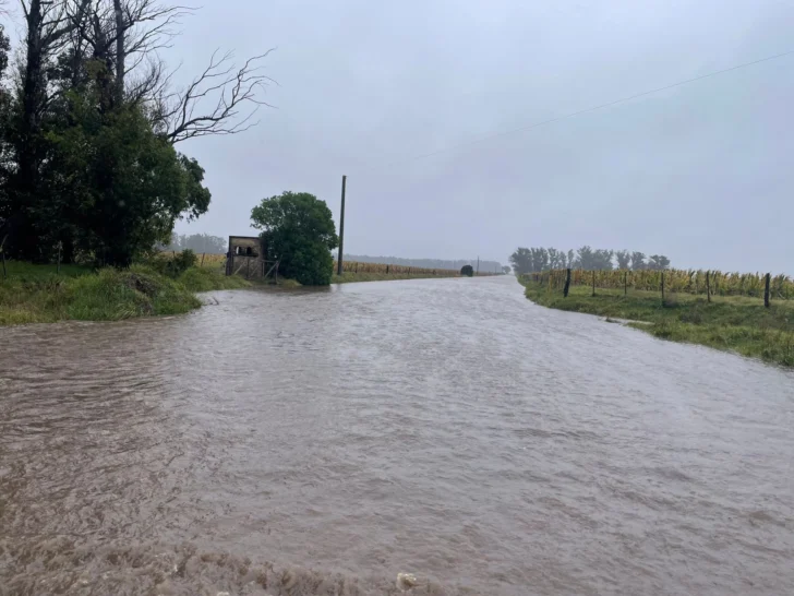 Actualizan el estado de rutas y caminos del distrito tras más de 120 mm ...
