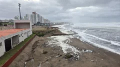 VIDEO: el mar avanzó con fuerza sobre la costa local y el fenómeno cesaría recién hacia la noche