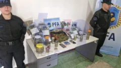 ​Narcotráfico en Necochea: la Policía Federal detuvo a dos personas y secuestró más de 6 kilos de marihuana
