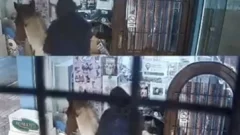 Video: insólito robo a caballo en un comercio céntrico causa indignación en las redes