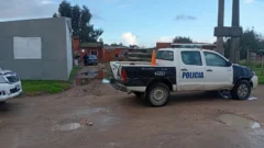 Tras un allanamiento, la Policía de Necochea recuperó a “Lola”, la caniche toy robada hace días