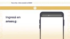 ANSES: Consultá  tu CODEM