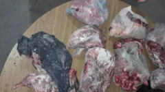 Clausuran un establecimiento clandestino que comercializaba carne irregular