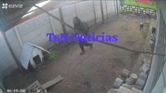 VIDEO: así fue el audaz robo a plena luz del día en una vivienda de la calle 87 ​