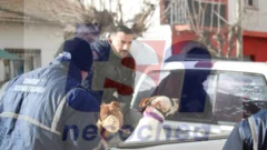 Rescatan a los tres perros pitbulls golpeados y aprehenden al agresor