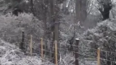 El frío extremo trajo nieve y tiñó de blanco varias zonas del país
