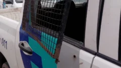 Evitaron que manejara ebrio: agredió a la policía y rompió un patrullero