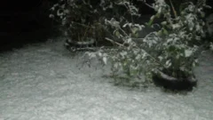 VIDEO: nieve en localidades del interior del distrito
