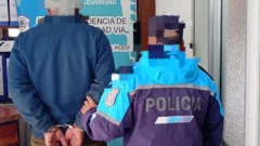 Operativo en Ruta 228: llevaba una carabina y casi 500 balas en el auto