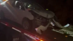 Despiste en el km 86 de la Ruta 88: solo hubo daños materiales