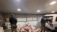 Investigan un presunto frigorífico clandestino en Lobería: hallaron más de 1.000 kilos de carne