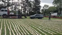 Golpe al narcotráfico: secuestran 13 toneladas de marihuana y caen 5 integrantes de una banda