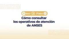 ANSES: Tutorial: Cómo buscar los Operativos de ANSES